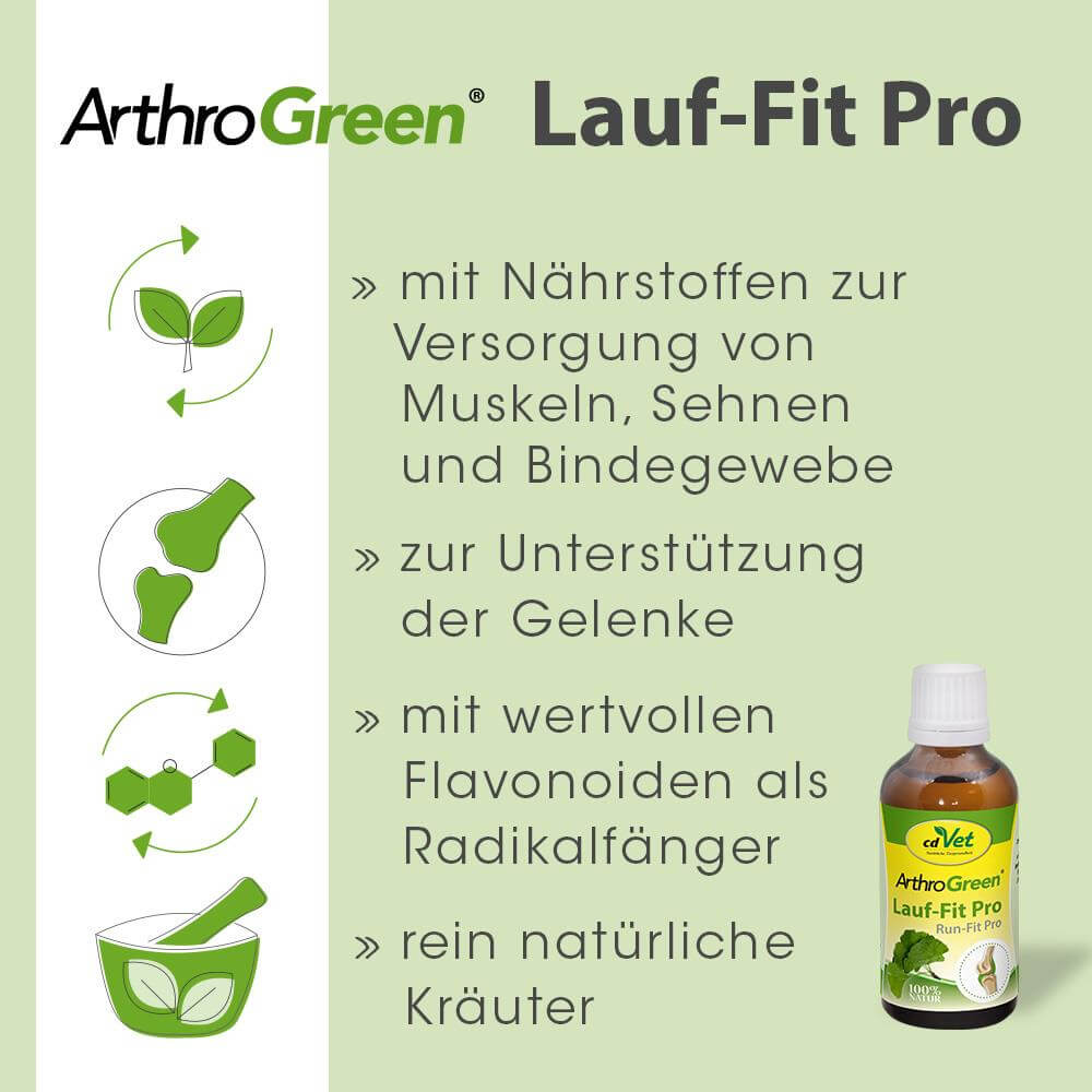 ArthroGreen Lauf-Fit Pro -Sorbe-
