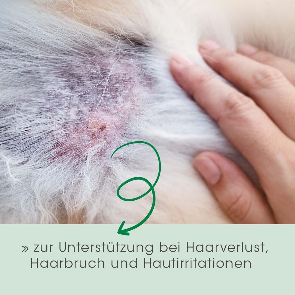 Fell & Haut Vital Hund & Katze 6 kg